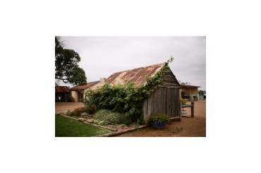 Tyrrell’s Wines
